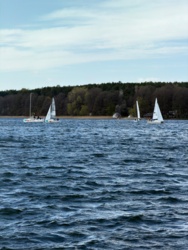 d3d16045-1b36-4883-b68c-e3abc9b59f53