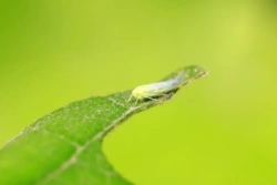 e5ed3d5e-d037-41e4-935a-24e9c5b831e8