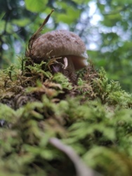 77ddb445-216f-448d-95ff-7d5ff24f4e90