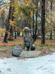 d3528a94-f513-4ced-a487-bf5810a9e678