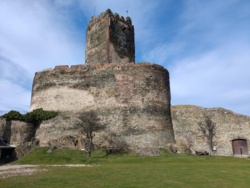 6800d20d-fd28-4704-8fa5-5bbd04862cdd