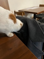 64b02762-2828-4e3b-8853-2466092e25d9