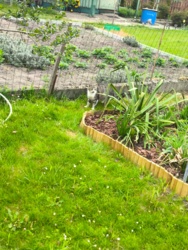 3d67cb5e-e0df-426c-a175-61a6fbd8e8b9