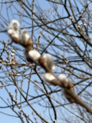 cb04b383-496e-4e0c-bc78-670fe15bd766