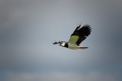 da764cae-1bf6-4e52-8bdb-d632ba15ec78