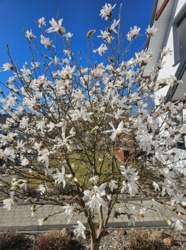 fd212116-8010-4955-8e11-0195cb11f43f