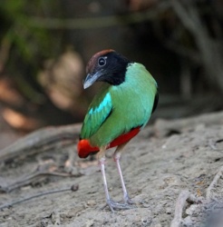 dfcd9274-ed46-46fe-bd02-7a17114f34e3