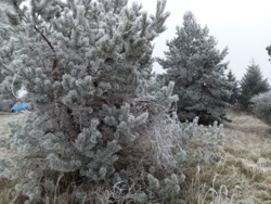 71bec32d-b799-4e75-a1d6-54d659b51e34