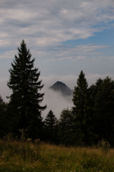 1e60af33-d66e-4100-b1b5-63e2a961dbcc