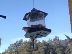 65c0f584-665f-4821-bb32-09d67f493c37