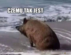 a7627677-ec93-4663-ab0f-7d7e8e26689f