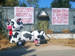 8542f8bf-6f62-47ae-a422-b6987bc9feea