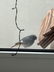 3e3a52ec-ee84-4014-854b-53ae032c435c