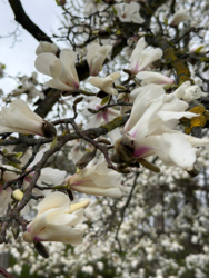 66a1138d-6aea-444e-97c3-5eb1cb2bedc0