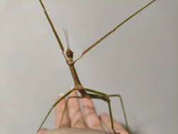 a2876e28-32ae-4298-b6e4-8113e72e3e95