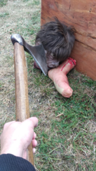 c72712e2-86f6-43c5-a093-ee8041d68a22