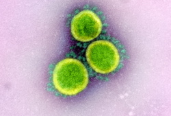 Szansa na lek chroniący przed niemal każdym rodzajem infekcji wirusowej