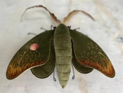 3fb51e9d-e1f4-4703-b358-bc5b7260dbc6