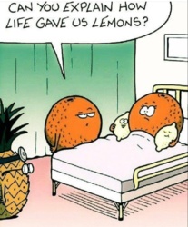 069da88e-055e-4967-b787-c24ff9bd314b