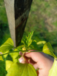 9f488bf2-57b8-44b2-9569-82ad8bb8a9a7