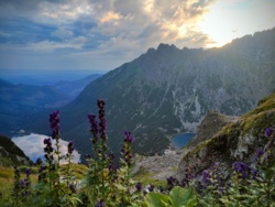 b66ce5d5-a1dc-4566-abea-a31131eb38c7