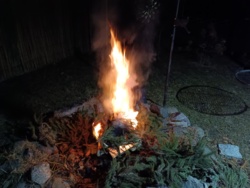 45908f71-c3ac-42b6-8780-a3c383ca1f89