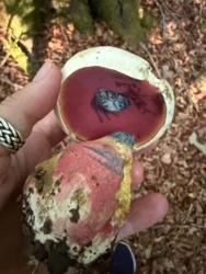 8b4a885f-4f6e-4ade-92db-32ea9b60b066