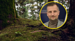 Ekolodzy biją na alarm: rząd odpuszcza ochronę lasów. Wiceminister Dorożała zaprzecza zarzutom