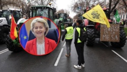 Komisja Europejska rozpocznie tymczasowe stosowanie porozumienia handlowego między Unią Europejską a Mercosurem