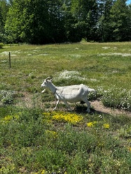 79ab89d7-4cb1-4b2c-a57f-14ba63ba321c