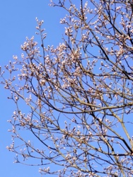 836c1b17-4901-46cd-8b82-8d42d9de446a