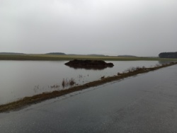 155bf2c1-e3d0-4283-ba85-d17d19e5557e