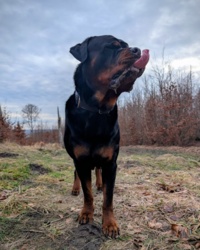 9a3c2412-cbef-4816-b1cc-daa01010e78e