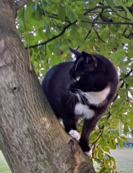 c51a1f99-3414-4978-8f4d-7227ad57dbf8