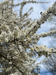 a67cf184-2680-42ff-b890-957776615788