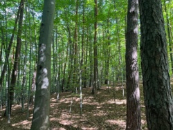 9b90d8df-1298-4121-a3e2-aff7729fbb42