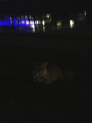 774b3aaf-156f-419b-93f9-395adc48ac29