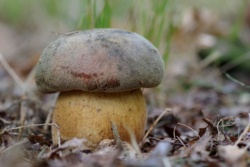 c3a228f2-15ec-4b80-9cb0-55f161ae0085