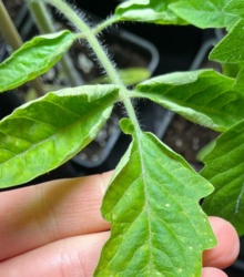 af039dc7-205c-4381-acc2-746d42a7e798