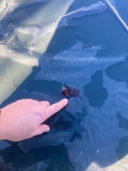 437194b5-0327-4fe8-9794-4ce76956f47f