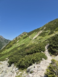 746d1c81-9478-43e2-a080-d2a0e4c8f89b