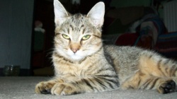 7a7f9c38-56ae-483f-b4aa-df98a2aa04df