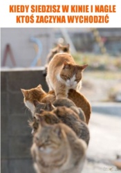 1a0353a0-e5fd-4ff3-a873-7587d6e3d48f