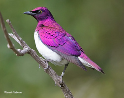 ae2d3139-07ec-49a0-a3c5-5495a2466775