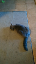 c5cf1b8b-d8eb-4f94-a820-e3c62cd5975c