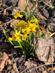 8b06d92c-f0ba-42c4-9ec6-6299db270b16