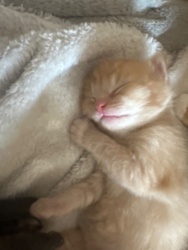 18abc9c5-35ef-429e-880a-7949ffd1928e