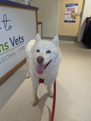 42af9276-768c-4193-8c2b-8cf4a8d45a46