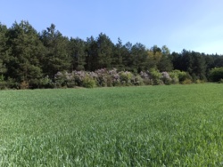 65909206-aecd-4c07-b08b-268286db4bea