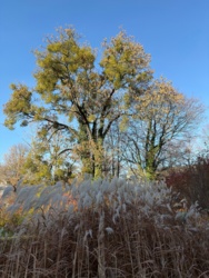 9f2ac588-541c-43f7-813c-e7c738bb0a63